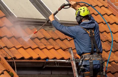 Démoussage et hydrofuge de toiture à Sanous